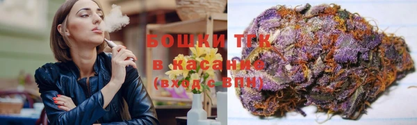 молекула духа Протвино