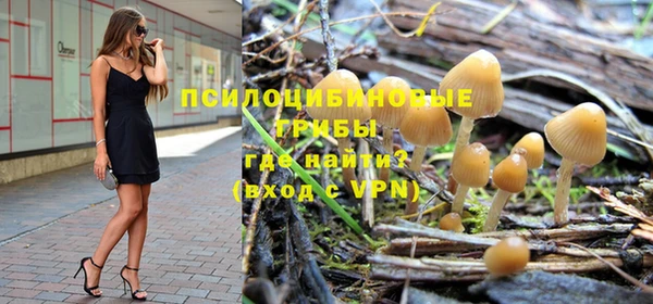 эйфоретик Туринск