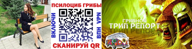Псилоцибиновые грибы Magic Shrooms  Междуреченск 