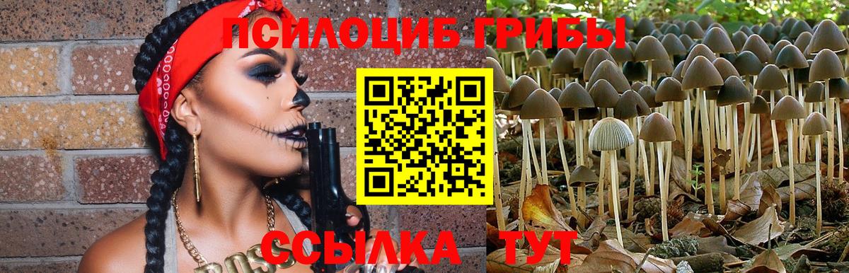 Псилоцибиновые грибы Psilocybine cubensis  Вход с VPN  Междуреченск 